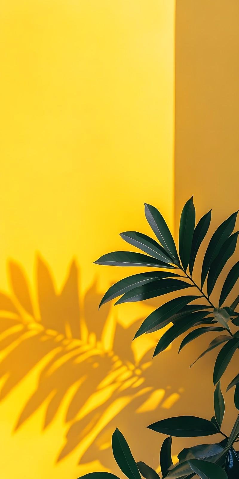 Tropical Sun Preview